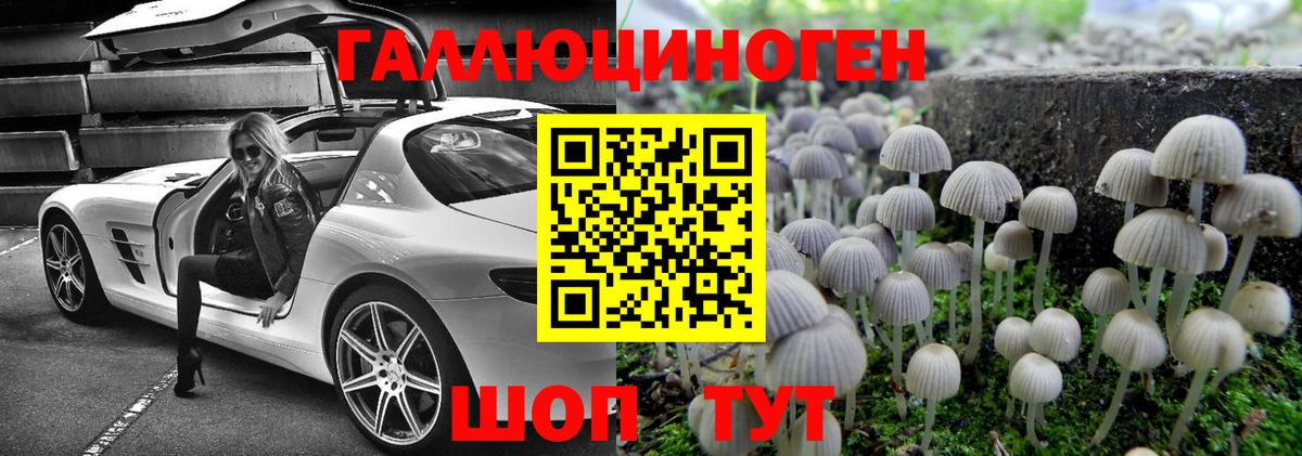 Галлюциногенные грибы Psilocybe Бирск