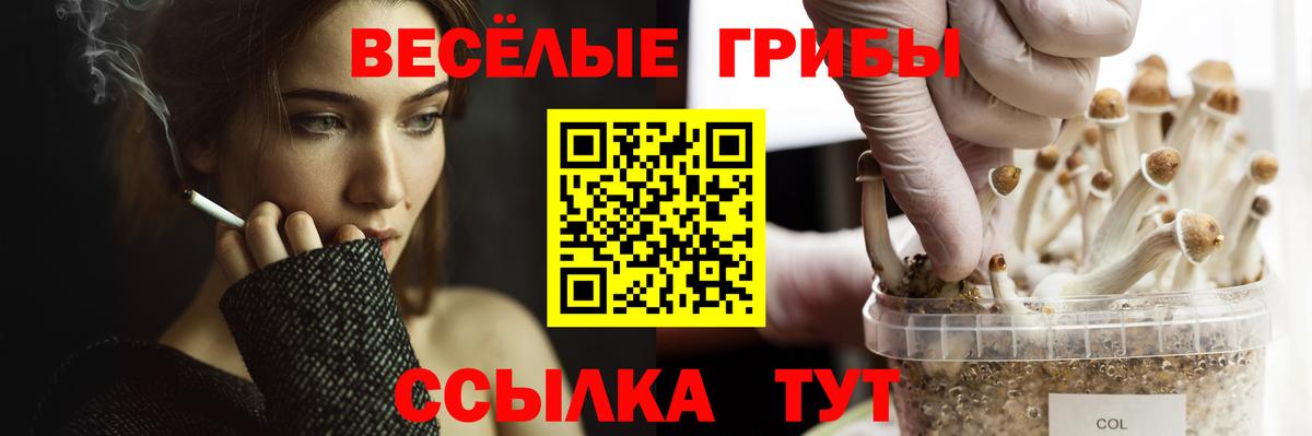 Бирск  Галлюциногенные грибы ЛСД  Вход с VPN 